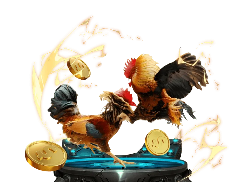 Hình ảnh hỗ trợ giải đáp thắc mắc ribbet