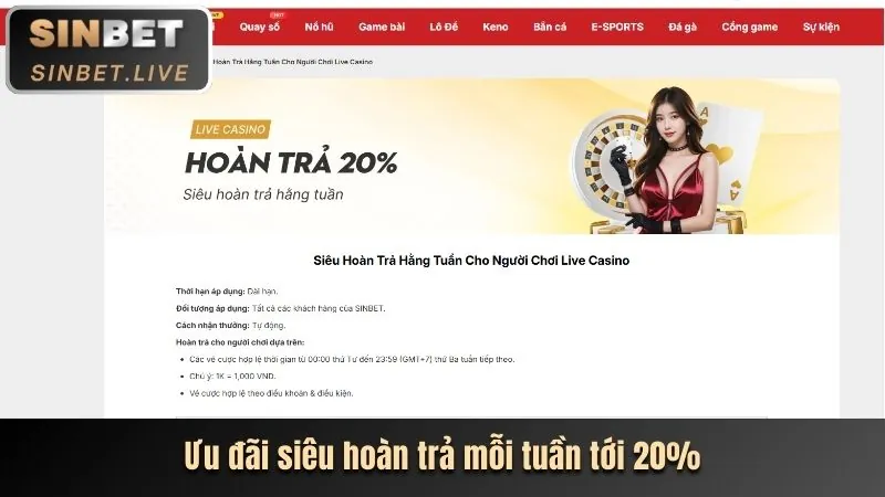 Trải nghiệm người dùng tối ưu trên Ribbet